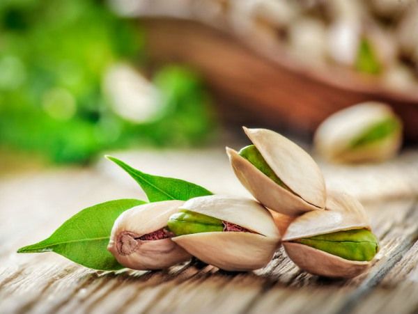 Iranian Pistachio Varieties Explained; Kalleh Ghouchi, Akbari, Ahmad Aghaei, and Fandoghi